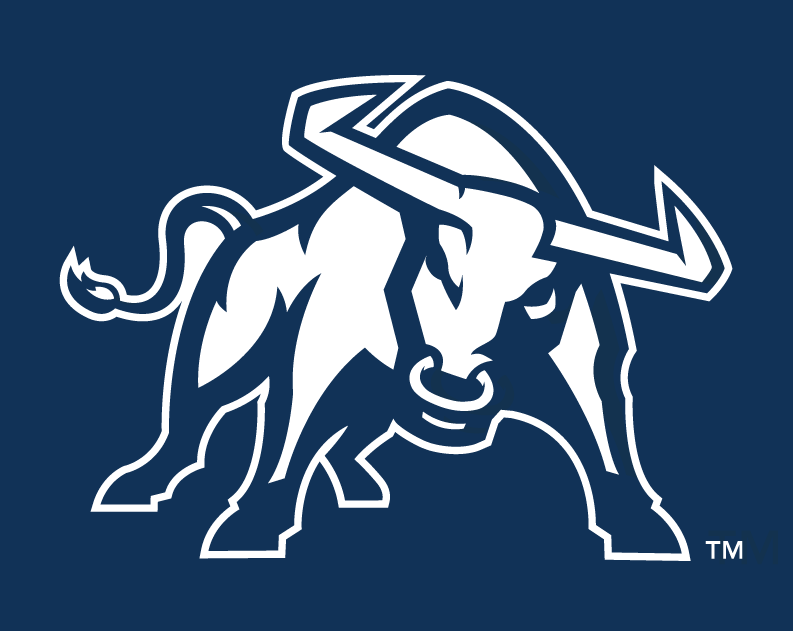 Utah State Aggies 2012-Pres Alternate Logo v2 diy iron on heat transfer